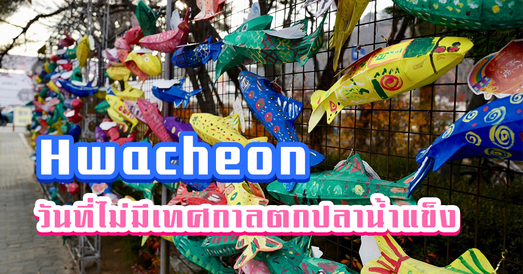 Hwacheon วันที่ไม่มีเทศกาลตกปลาน้ำแข็ง