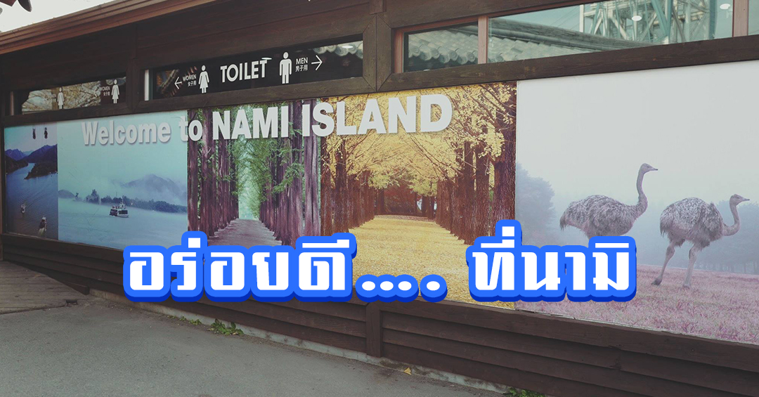 อร่อยดี…. ที่นามิ